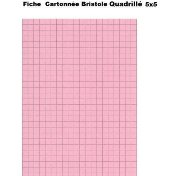 FICHE BRISTOL 12.5*20 REF 97754M  ROSE